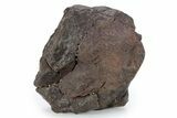 Chondrite Meteorite ( g) - Western Sahara Desert #285380-1